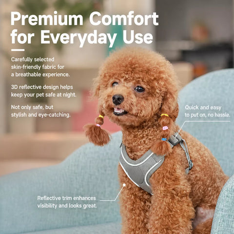 Vest-Style Dog Harness & Leash Set for Small to Medium Dogs