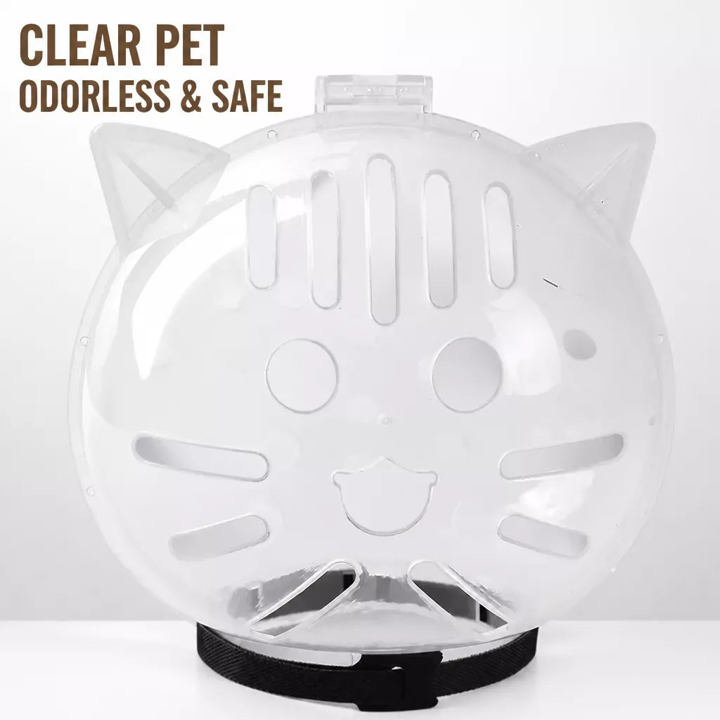 Clear Plastic Recovery Cone for Cats