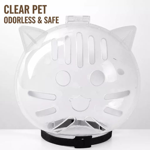 Clear Plastic Recovery Cone for Cats