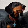 Faux Leather Collar for Small Dogs and Cats