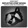 Adjustable Nylon Vest-Style Dog Harness with Leash