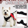Winged Nylon Dog Harnesses & Leashes