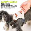 Adjustable Vest-Style Dog Harness