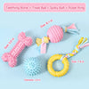Dog Chew and Play Toys