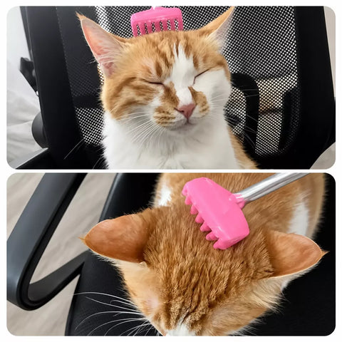 Retractable Pet Scratching Stick