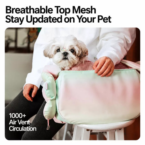 Nylon Pet Carrier Bags for Cats and Dogs