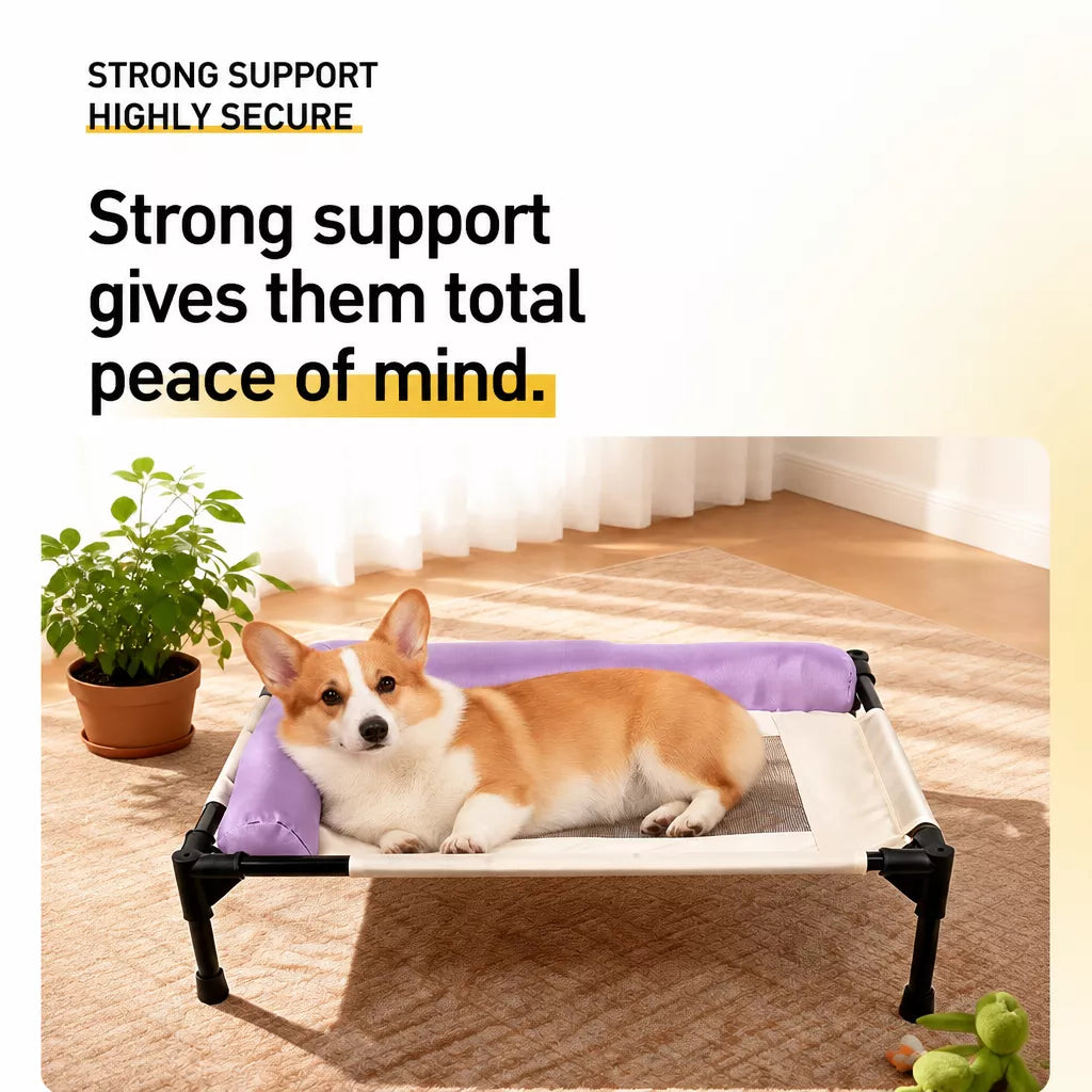 Elevated Washable Pet Bed for Small to Medium Dogs & Cats