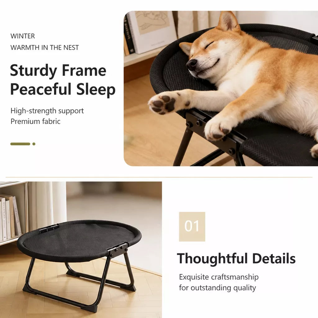 Foldable Elevated Oval Pet Cot for Cats & Dogs