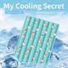 Summer Pet Mat for Dogs & Cats