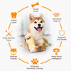 Peanut-Shaped Squeaky Dog Toy for Small and Large Breeds