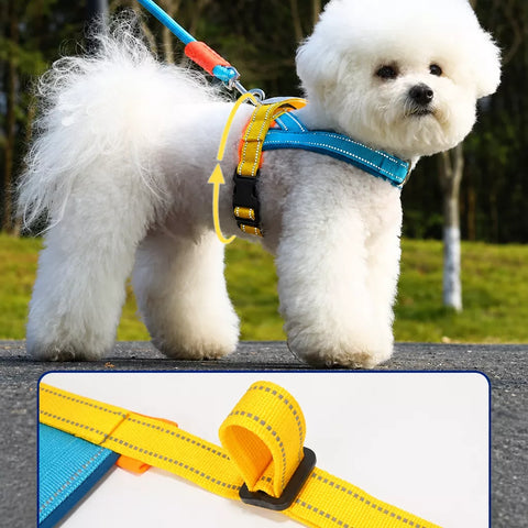 Vest-Style Nylon Dog Harness with Round Rope Leash
