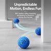Interactive Electric Bouncing Ball Dog Toy