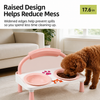 Raised Ceramic Double Pet Bowl Set
