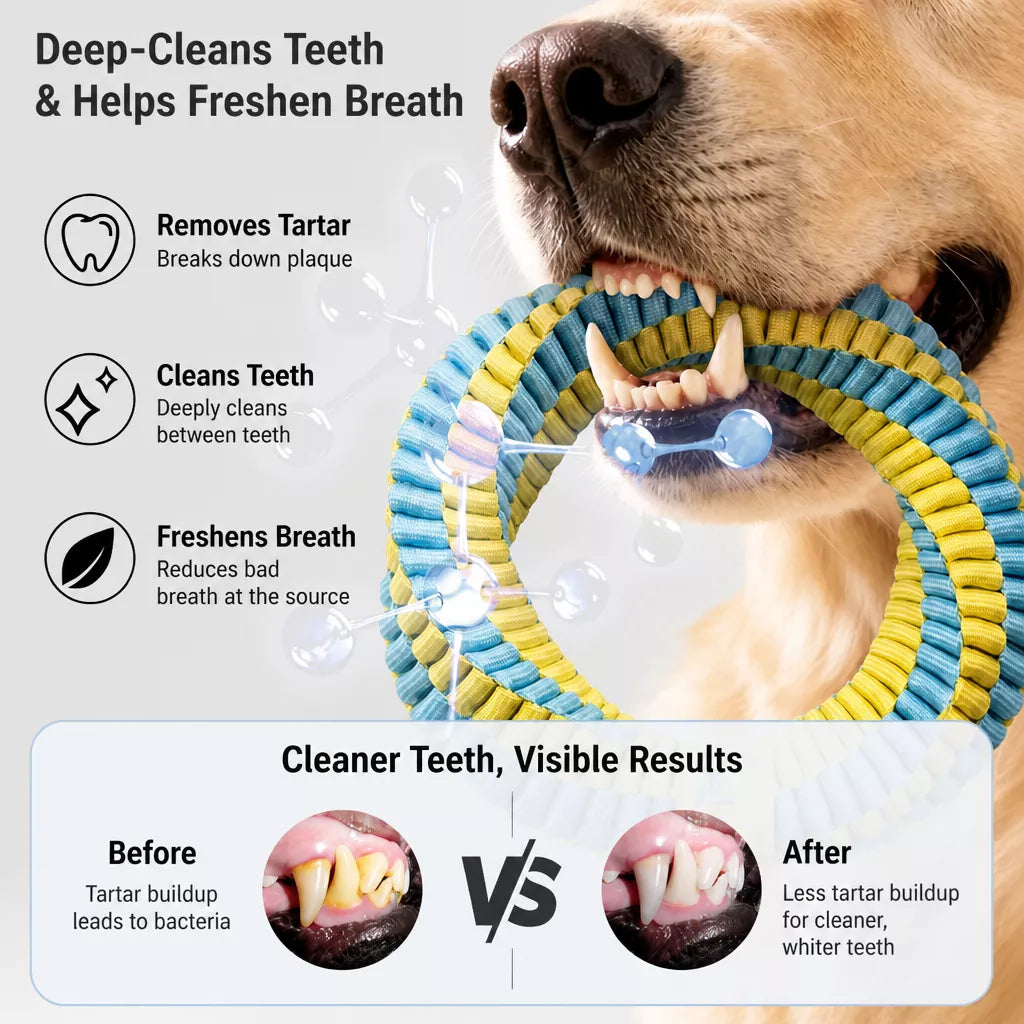 Nylon Dog Tug Toy for Interactive Play
