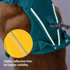 Lightweight Nylon Dog Harness and Leash Set for Everyday Walks