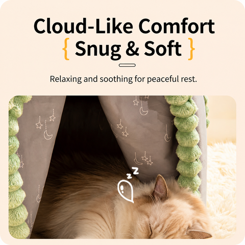 Enclosed Pet Bed with Door Curtain for Cats and Dogs