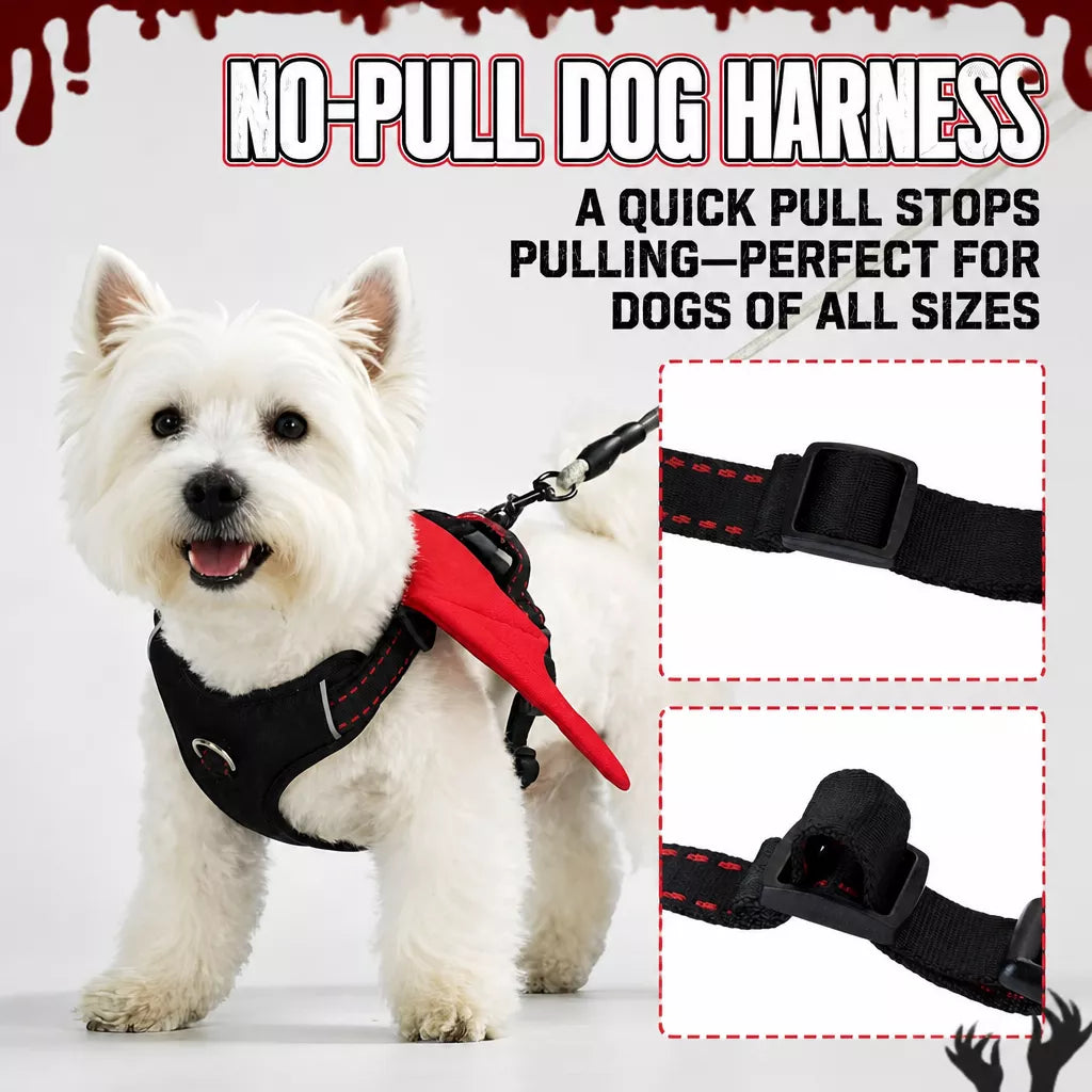 Winged Nylon Dog Harness with Leash Options
