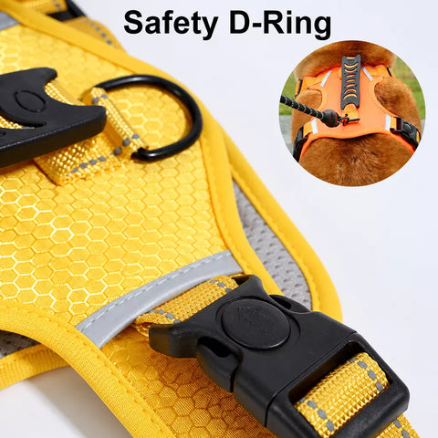 Nylon Dog Harness with Optional Leash
