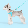 Y-Shaped Nylon Dog Harness and Leash