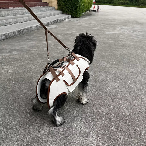 Nylon Pet Carrier Sling Bag for Small Dogs and Cats