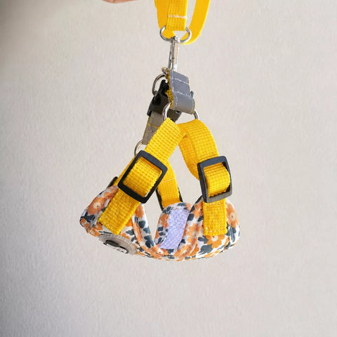 Reflective Vest Harness and Leash Set for Cats and Small Dogs