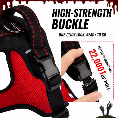 Winged Nylon Dog Harness with Leash Options