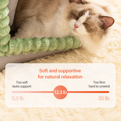 Enclosed Pet Bed with Door Curtain for Cats and Dogs