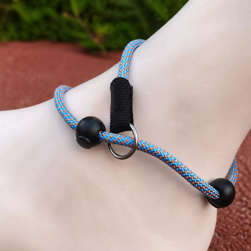 One-Piece Nylon Rope Training Leash for Small and Medium Dogs
