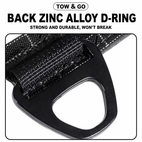Adjustable Nylon Vest-Style Dog Harness with Matching Leash