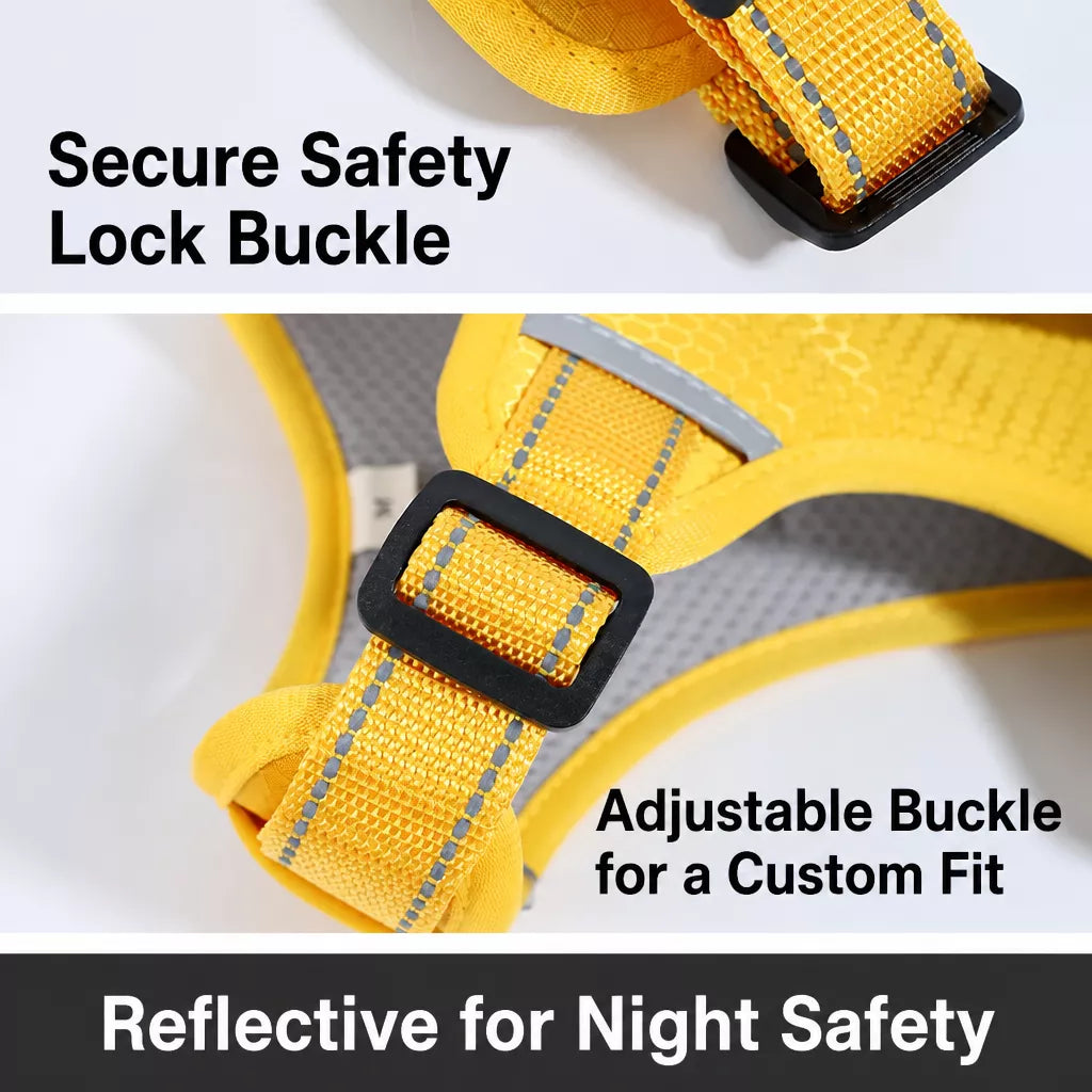 Nylon Dog Harness with Optional Leash