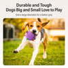 4.7-Inch Squeaky Plush Rolling Ball Toy for Dogs