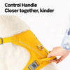 Lightweight Nylon Dog Harness and Leash Set for Everyday Walks