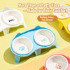 Ceramic Double Cat Bowls with Stand