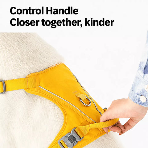 Lightweight Nylon Dog Harness and Leash Set