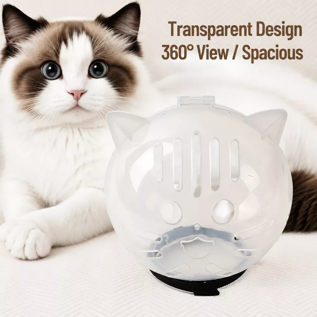 Clear Plastic Recovery Cone for Cats
