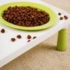 Raised Ceramic Double Pet Bowl Set