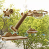 Window-Mounted Cat Climbing System with Perches and Scratching Posts