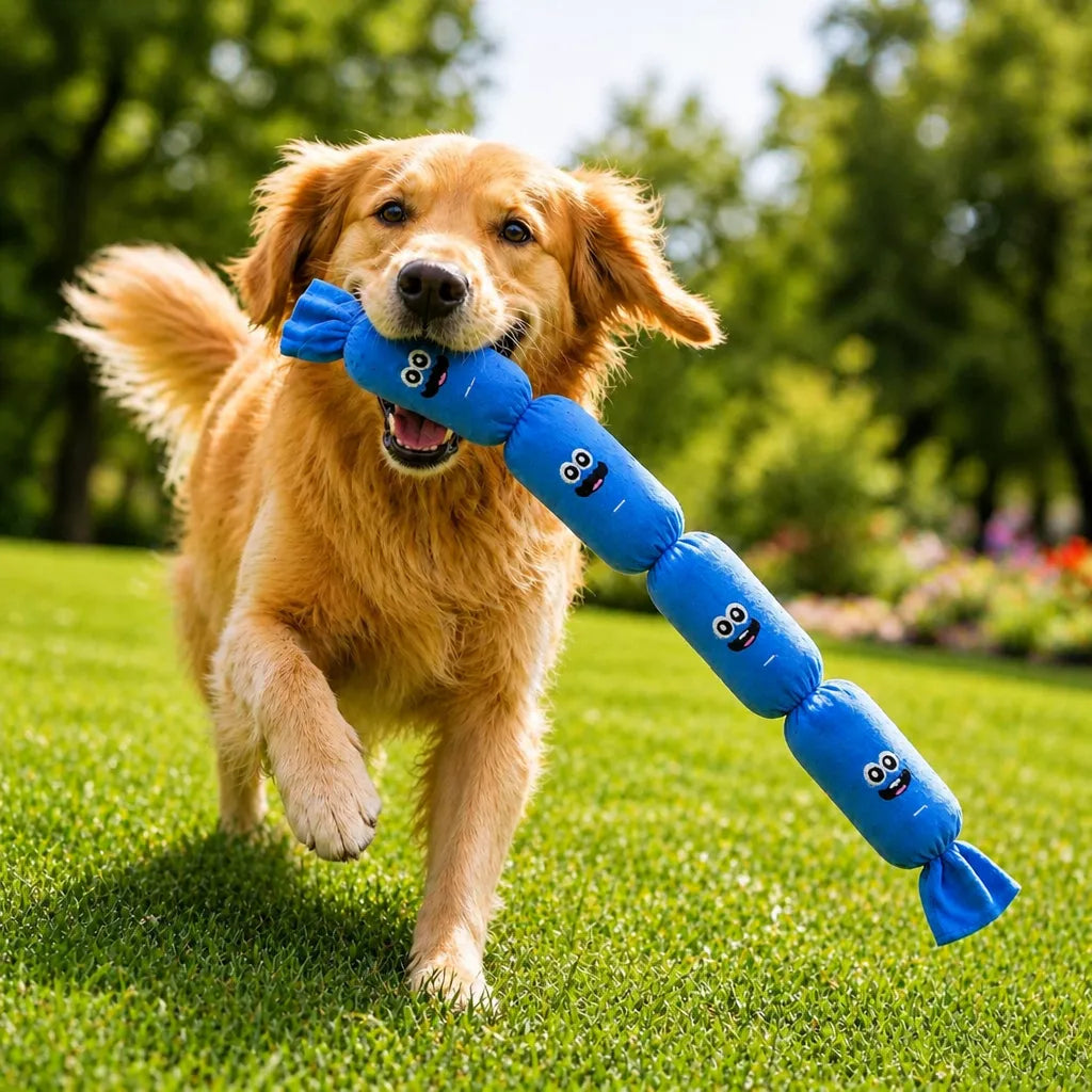 Four-Section Sausage Squeaky Dog Toy