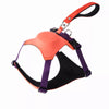 All-in-One Nylon Dog Harness with Retractable Leash