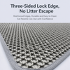 Double-Layer Cat Litter Mat