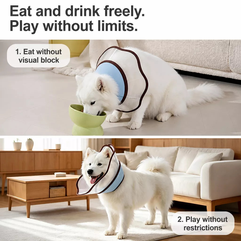 Soft Nylon Recovery Cone for Dogs
