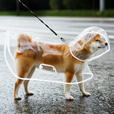 Dog Rain Poncho with Belly Coverage