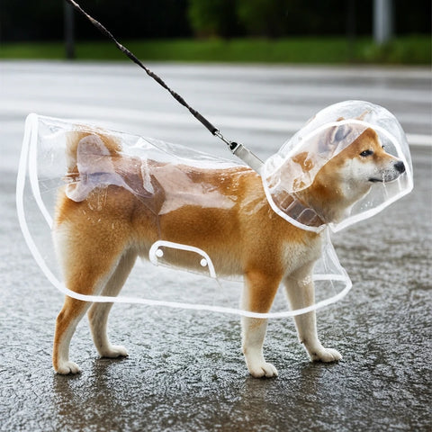 Dog Rain Poncho with Belly Coverage