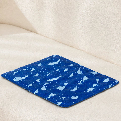 Summer Seat Cushion for Chairs and Dorm Rooms
