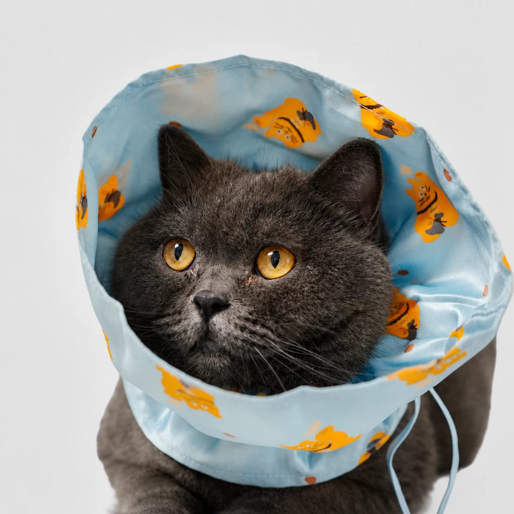 Adjustable Nylon Pet Cone with Lucky Cat Print
