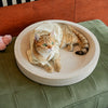 White Corrugated Cardboard Cat Scratcher Lounge