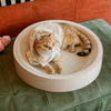 White Corrugated Cardboard Cat Scratcher Lounge