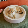 White Corrugated Cardboard Cat Scratcher Lounge