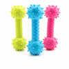 Latex Squeaky Dog Toy
