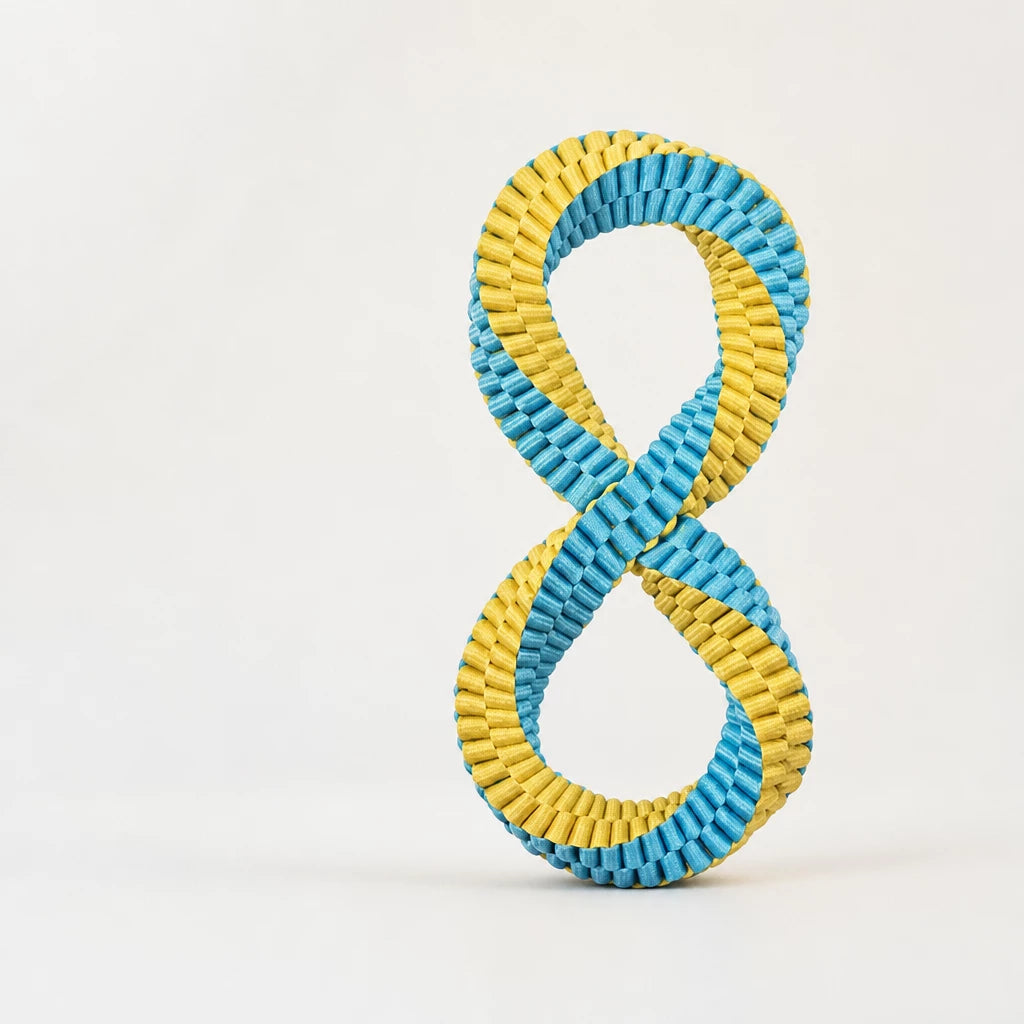 Nylon Dog Tug Toy for Interactive Play